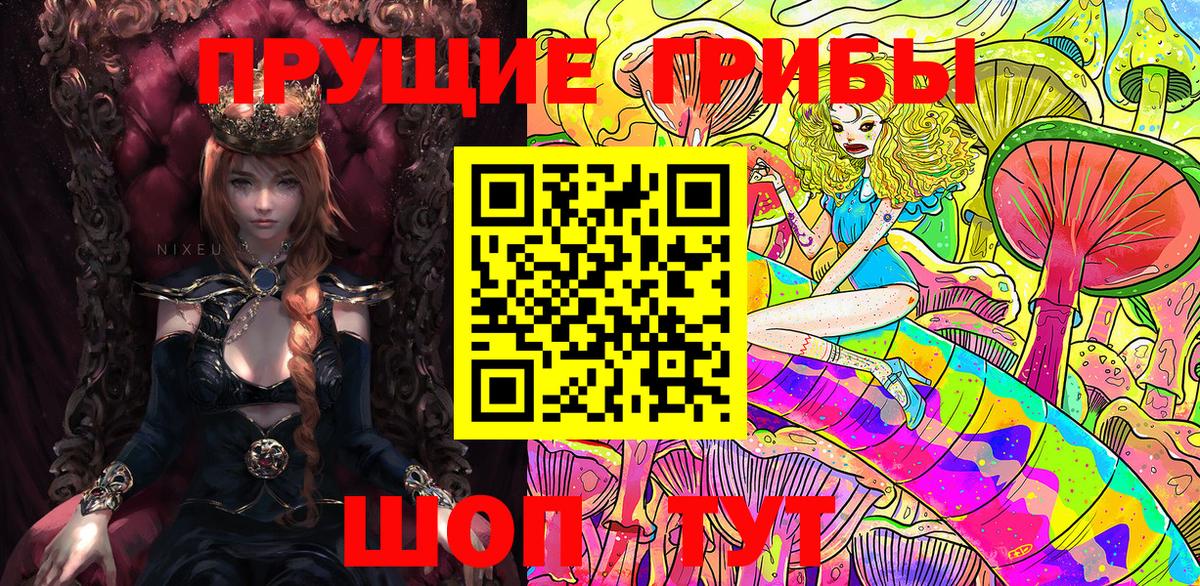 Чапаевск  Псилоцибиновые грибы Psilocybe  Вход с VPN 
